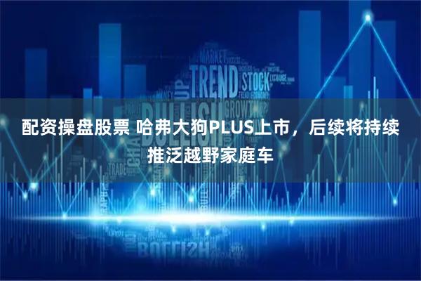 配资操盘股票 哈弗大狗PLUS上市，后续将持续推泛越野家庭车
